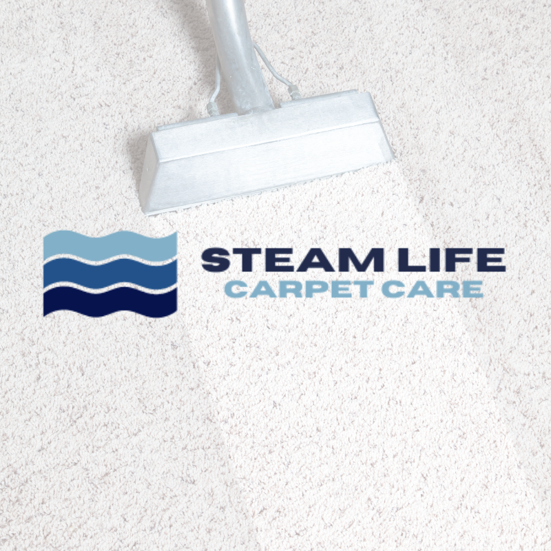 Steamlife Carpet Care - Logo Design